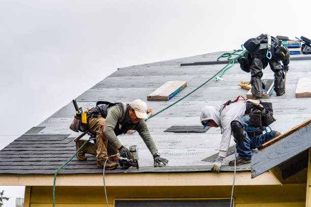Professional Gutter Installation technician working in East Pembroke, NY